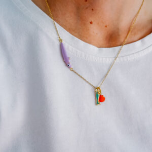 Ketting met visje en schelpje